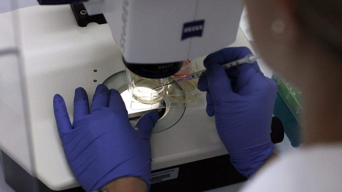 Assistant Professor of Genetics and Developmental Biology Stormy Chamberlain works on stem cells at the University of Connecticut`s (UConn) Stem Cell Institute at the UConn Health Center on August 27, 2010 in Farmington, Connecticut.