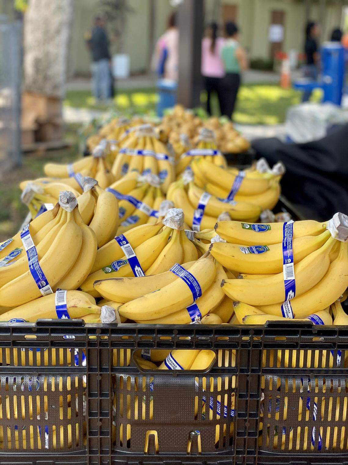 Feeding South Florida, a nonprofit, opened a food pantry in North Miami in October. The pantry consists of fresh produce, along with canned goods, dairy, meats and dry goods.