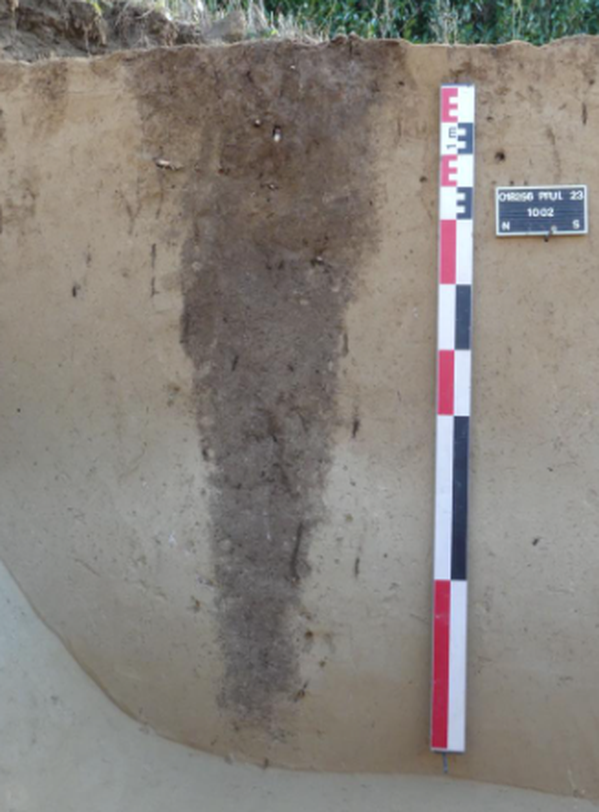 The slots were oblong and deep, likely used in some capacity for hunting, researchers said.