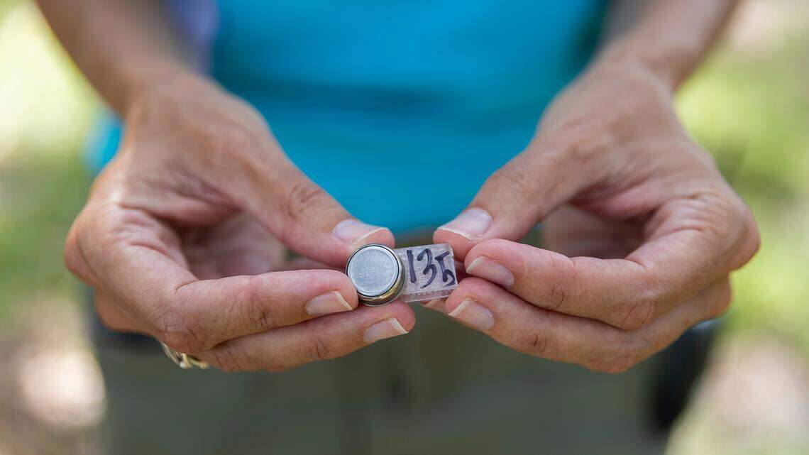 Tiffany Troxler, an associate professor in the Department of Earth and Environment at Florida International University, holds a heat sensors during a citizen science event at Legion Park on Saturday, Sept. 10, 2022, in Miami, Fla. The “Shading Dade” event tasked members of the public with placing heat sensors in specific locations across Miami-Dade County to help record heat temperatures.