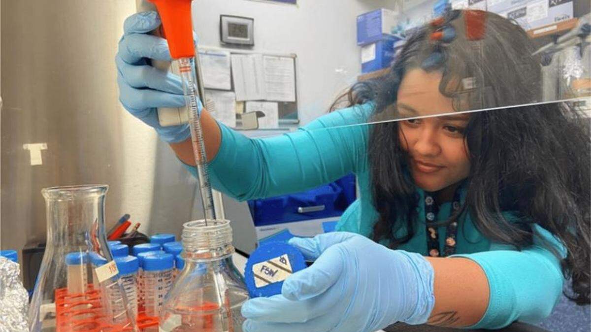 Technician Yesmarie De La Flor prepares a culture of probiotic bacteria in the Smithsonian Marine Station’s microbiology laboratory in Fort Pierce, Florida. These probiotics were used for further testing on diseased corals.