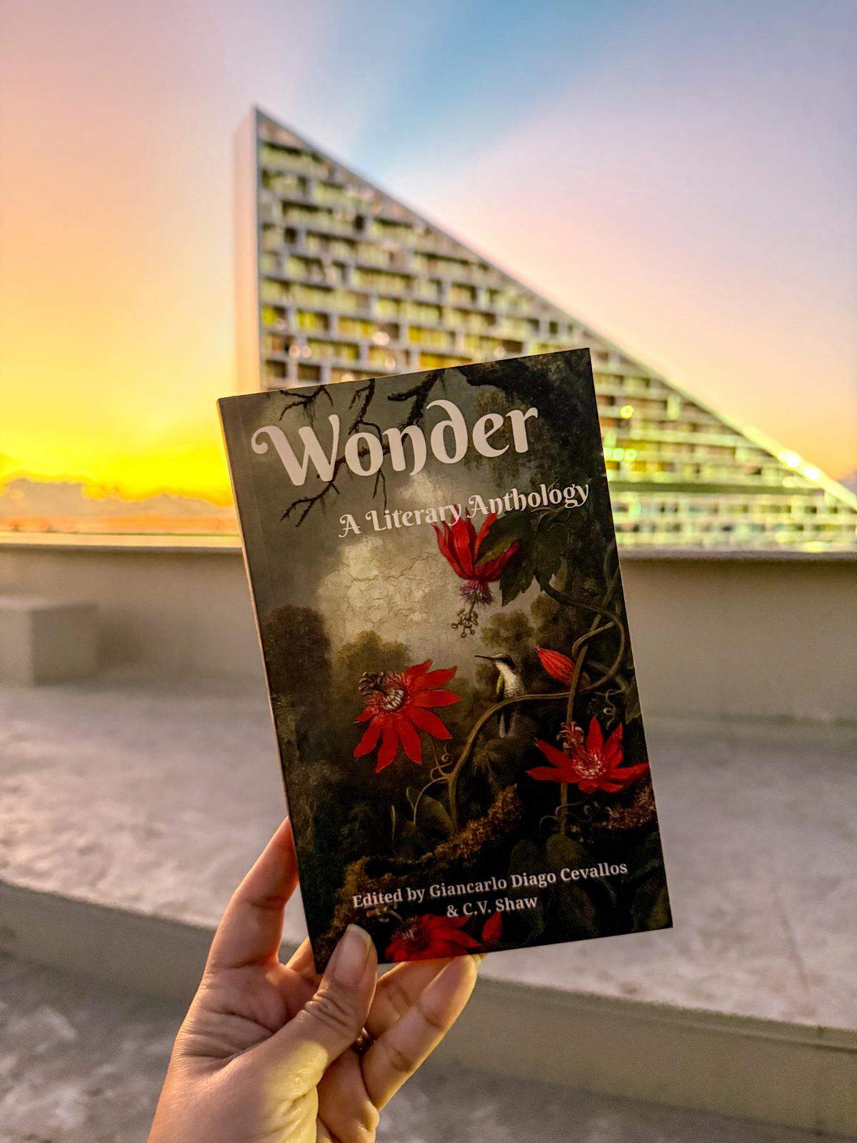 ‘Wonder, A Literary Anthology’ is pictured in front of Es Devlin’s ‘The Library of Us’ at Miami Art Week.