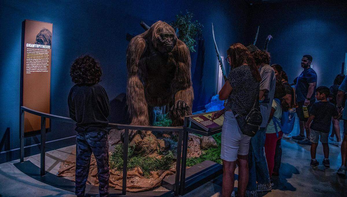 Visitors look at a Gigantopithecus, an extinct genus of ape from roughly 2 million to 350,000 years ago, part of the “Mythic Creatures: Dragons, Unicorns & Mermaids”, exhibition on display at the HistoryMiami Museum, The exhibition opening on July 8th, traces the natural and cultural roots of some of the world’s most enduring mythological creatures from Asia, Europe, the Americas, and beyond, and even how Miamians embrace their own mythic fantasies. Organized by theAmerican Museum of Natural History in New York, on Saturday, July 08, 2023.