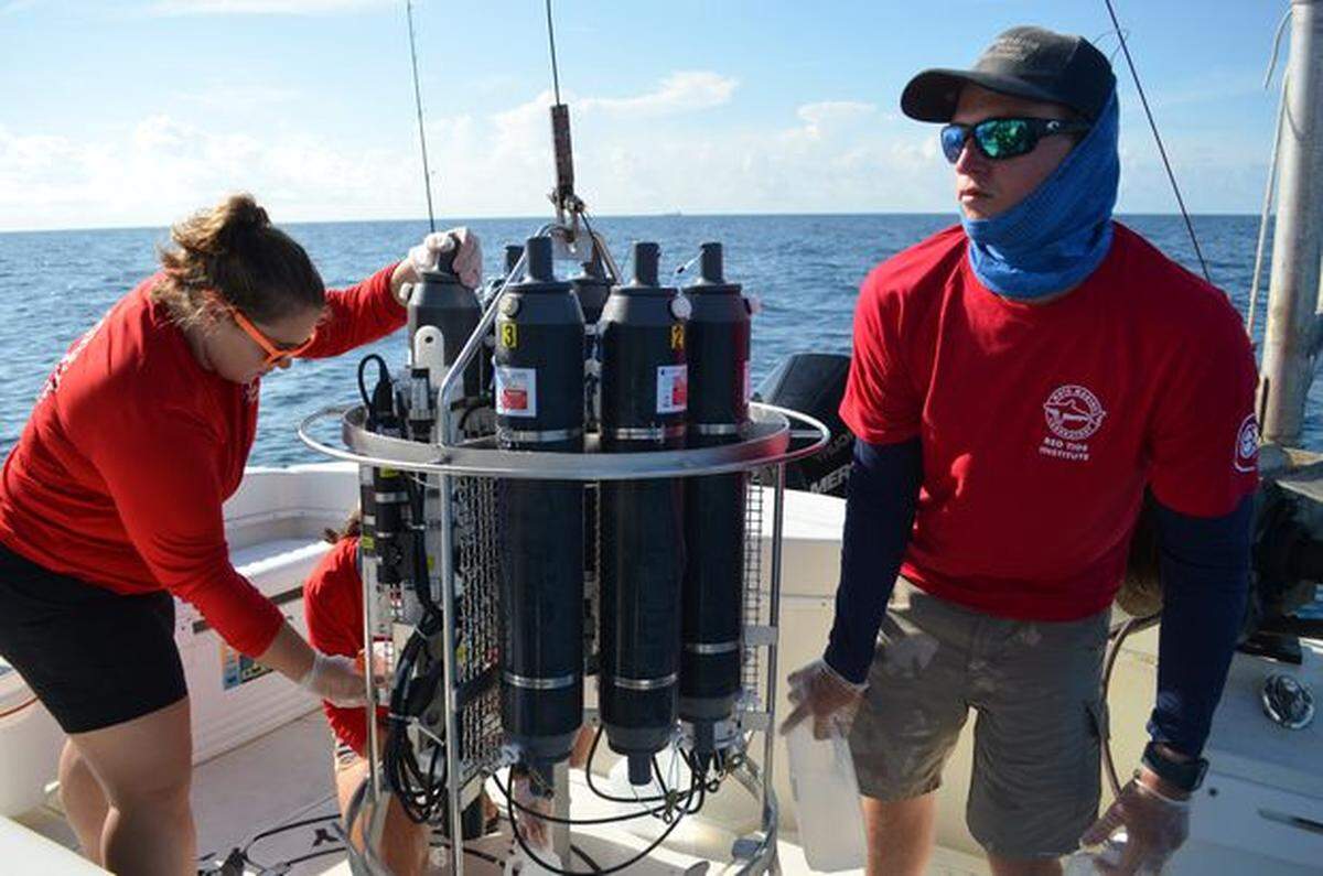 Sarah Klass, a lead researcher at Mote Marine Laboratory & Aquarium’s Red Tide Institute, and Mote staff biologist Cody Cole draw water samples during a research cruise on July 21.