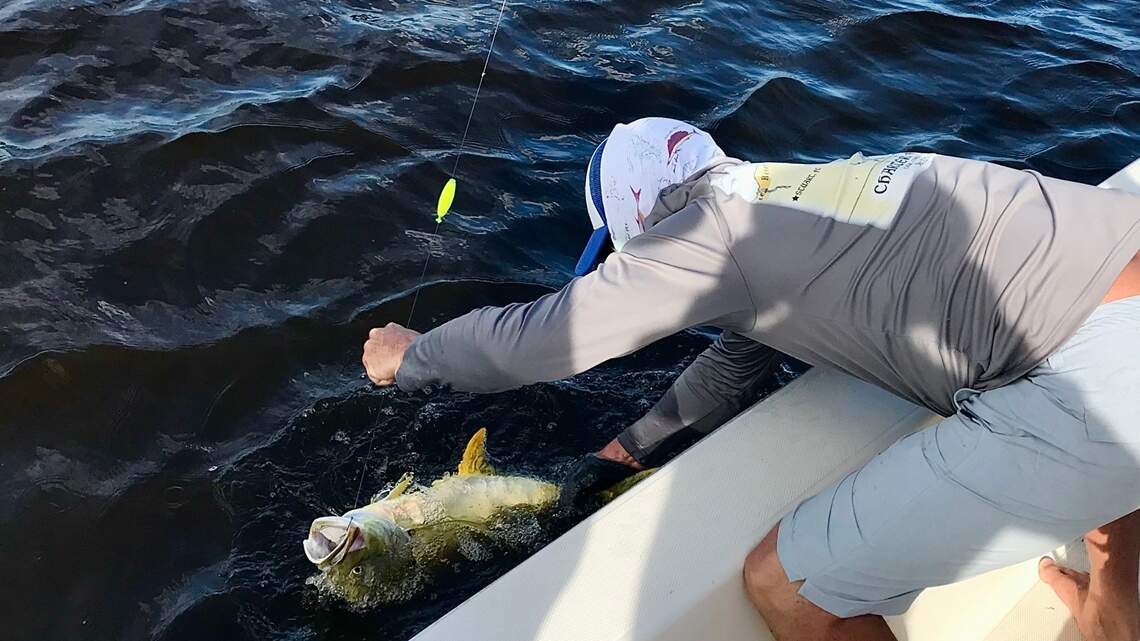 When the fall mullet run hits, South Florida anglers get a fishing bonanza