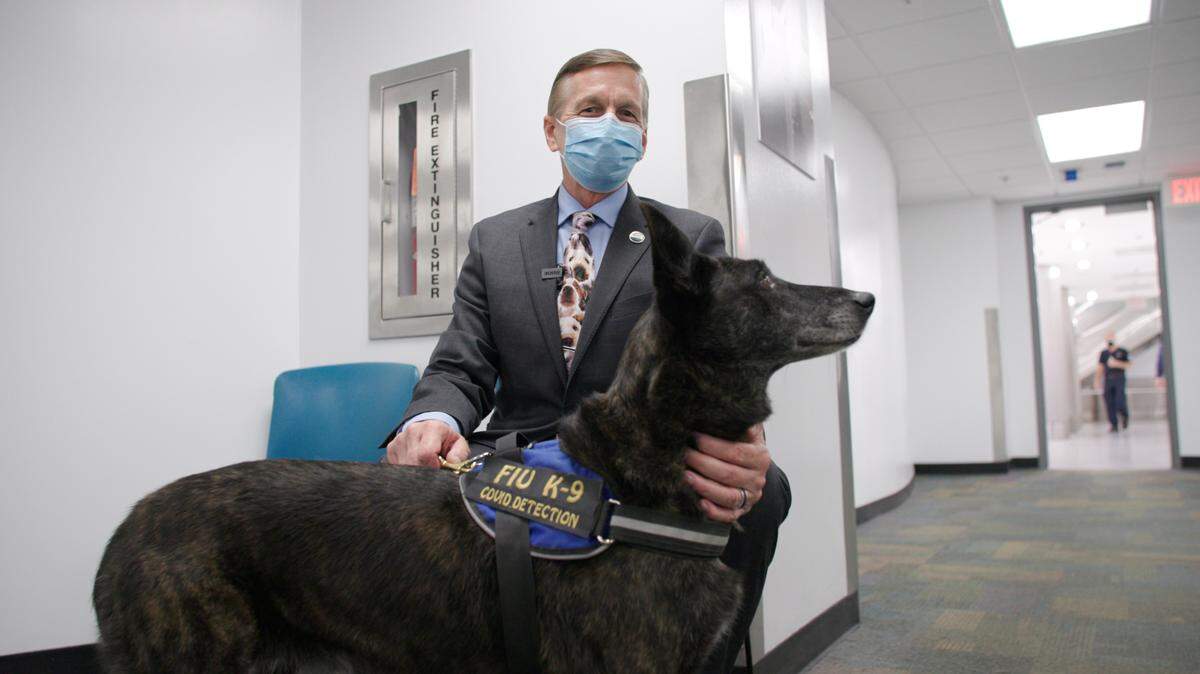 “After a successful start, the program was extended to the end of October, which gives us more time to collect valuable data on the accuracy and efficiency of the COVID-19 detector dog program,” said Dr. Kenneth G. Furton, provost and executive vice president of Florida International University.