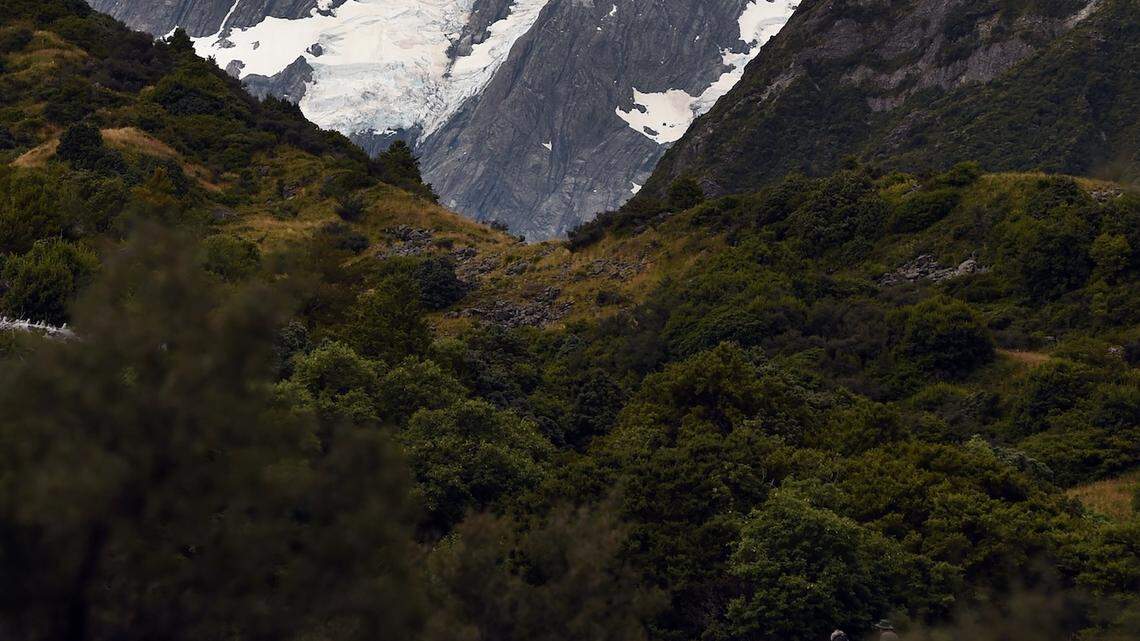 Dog Rescued by Helicopter After Being Stranded in Wilderness
