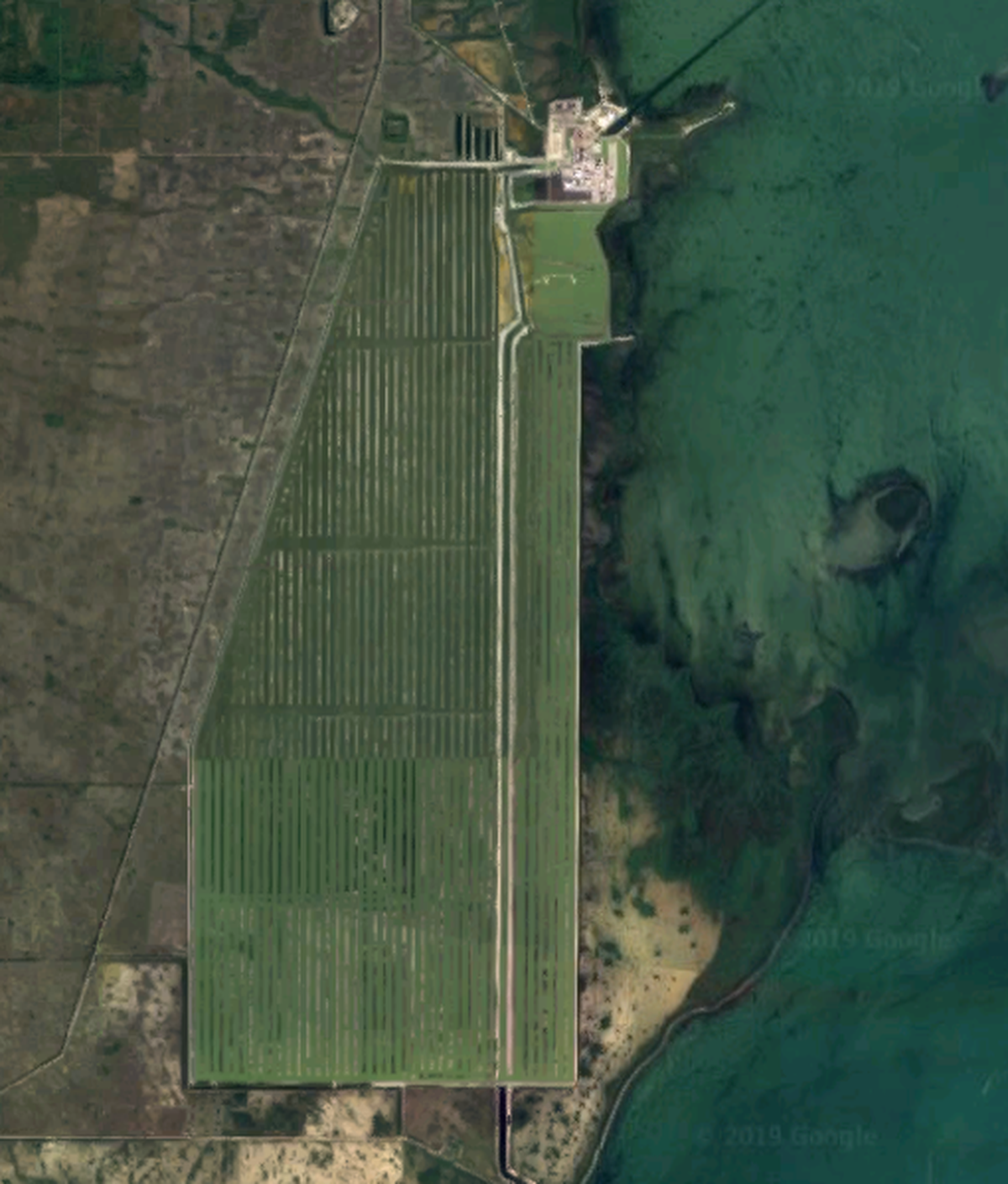 A 2019 Google Earth image of the cooling canals at Turkey Point that are used to cool two nuclear reactors and hold wastewater from the plant.