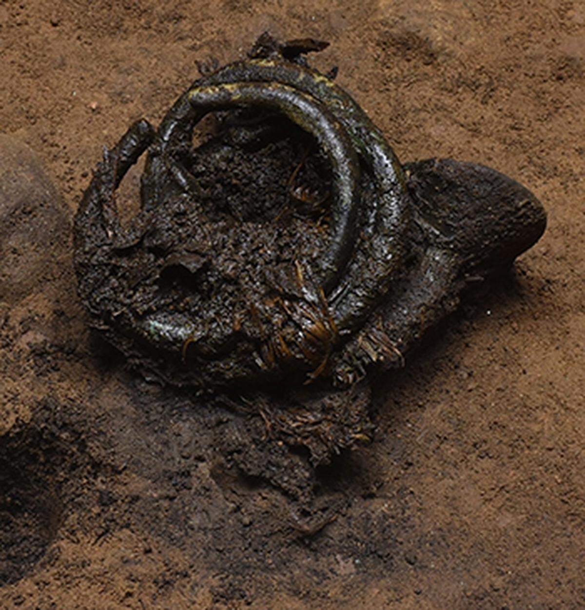 A close-up view of the 3,000-year-old jewelry and organic remains.