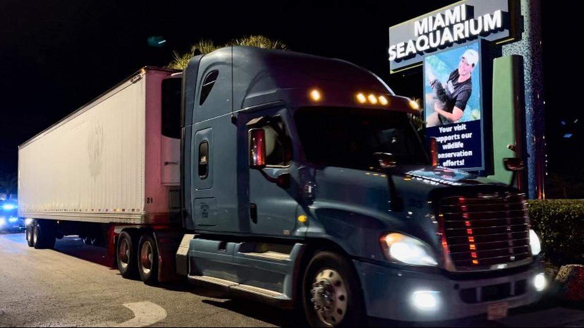 Where did the truck take Lolita after it left the Miami Seaquarium? Georgia