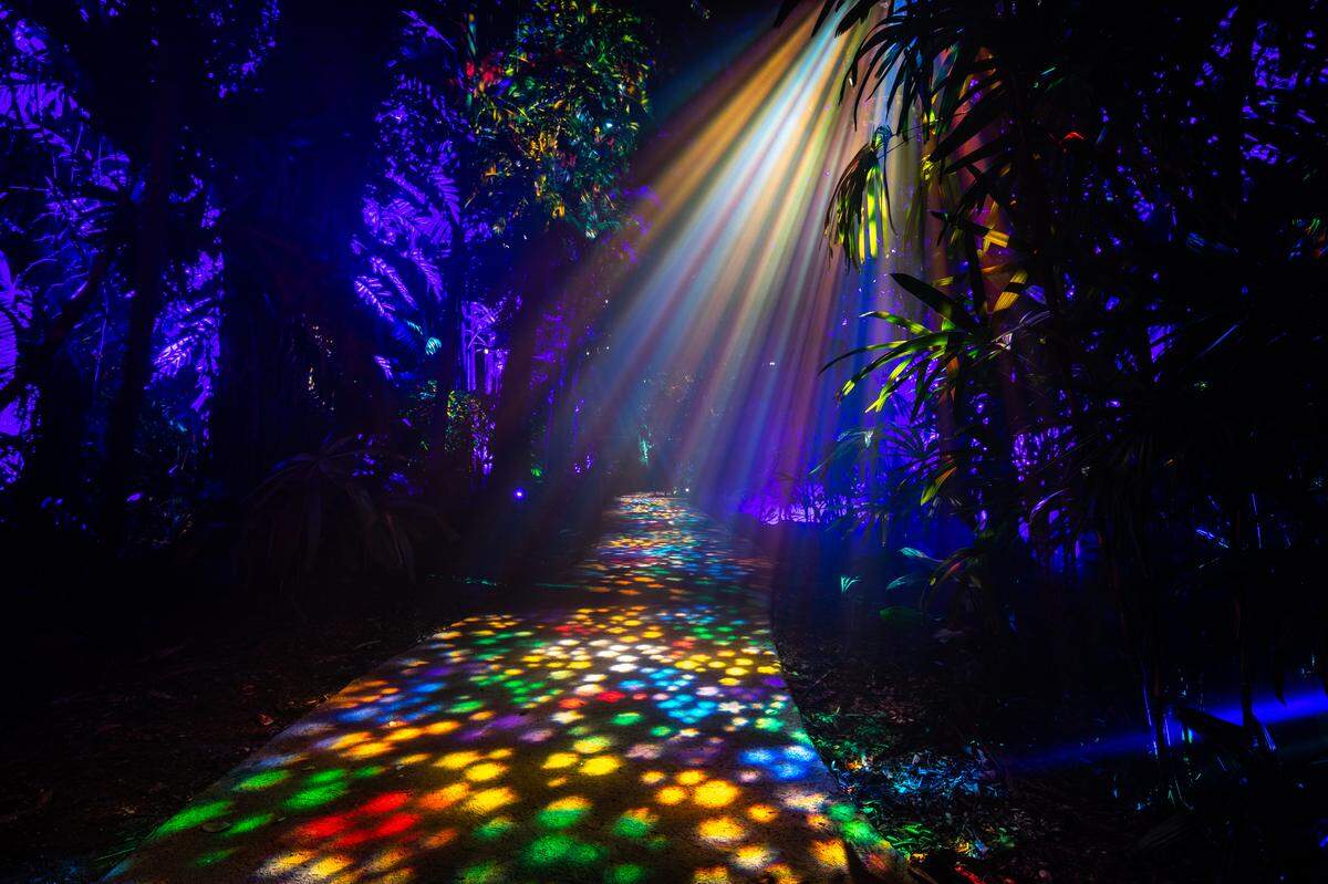 The holiday light sensation is back at Fairchild Tropical Botanic Garden for the second year.