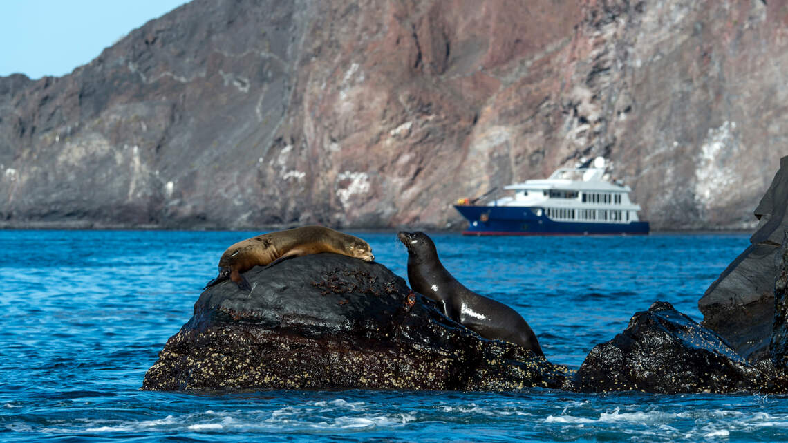 Prior to the era of social distancing, our writer set sail on a bucket-list voyage to the Galápagos Islands