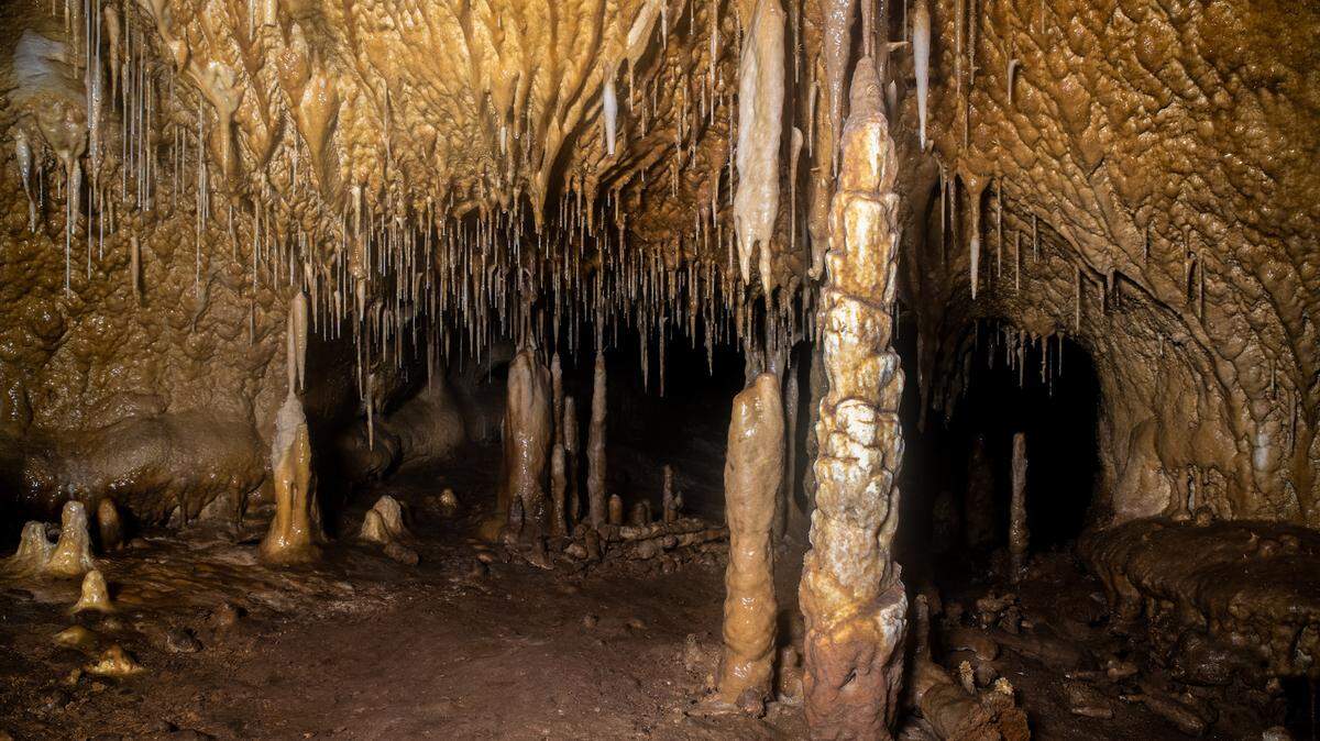 Archaeologists exploring the Cueva del Arco reopened a sealed passageway into a huge cavern and discovered 27,000-year-old claw marks.