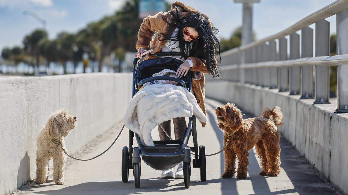 Alex Perlman checks on her baby Anastasia as she walks her dogs Maple and Millie, seen left to right, along the Rickenbacker Causeway in Miami, Florida on Tuesday, February 3, 2026. 