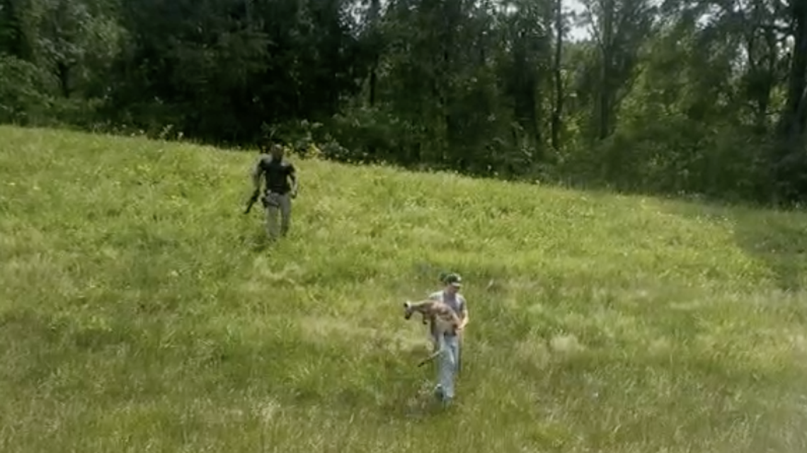 A kangaroo caused a crash and shut down traffic on an Alabama interstate for hours, authorities said.