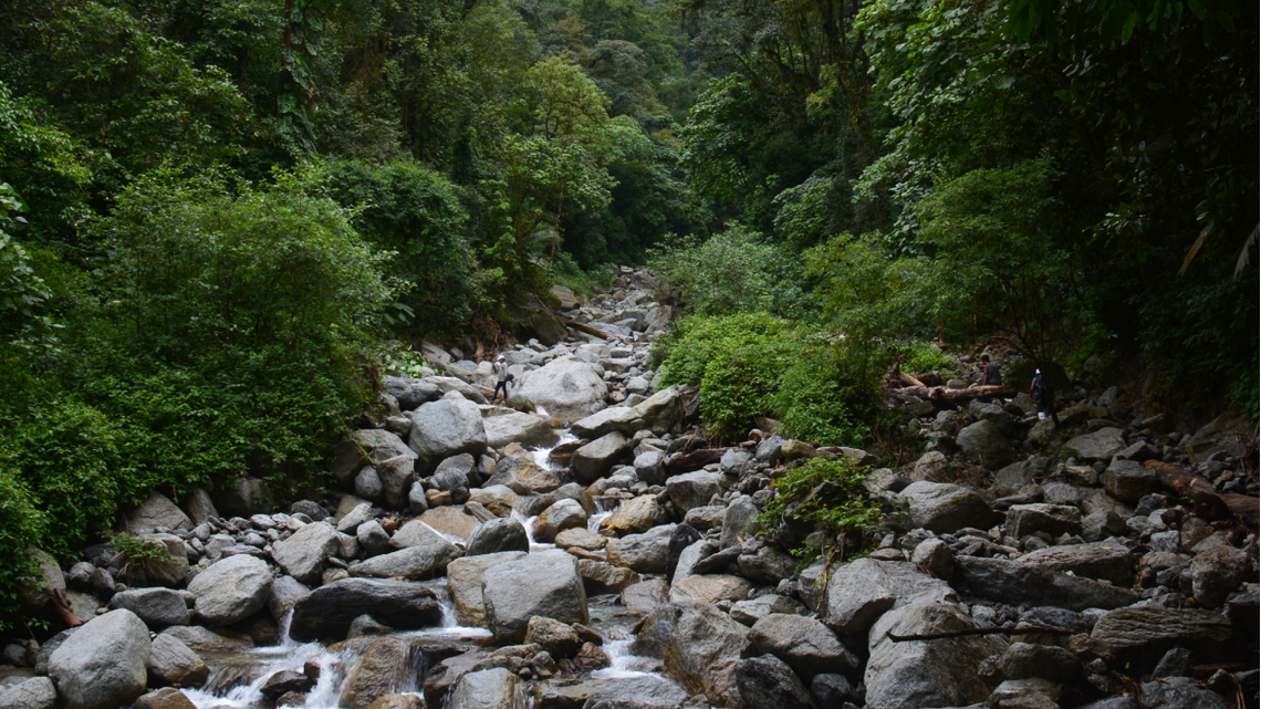 Researchers discovered several new species, including a neon-spotted frog, along mountainous streams in Arunachal Pradesh, studies said.