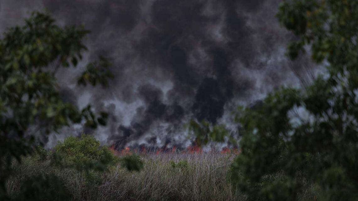 Photos, video show massive west Broward wildfire and smoky aftermath. Have a look