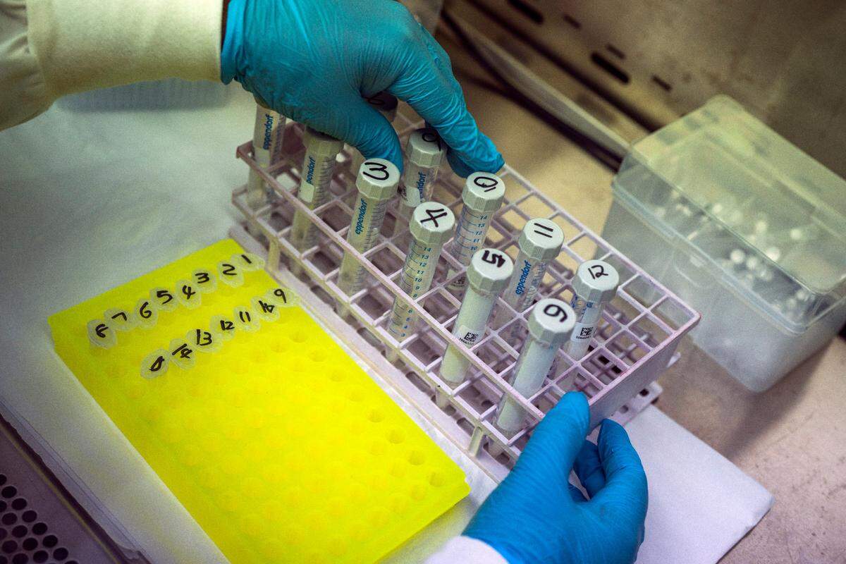 A lab technician prepares to sequence COVID-19 omicron samples at the Ndlovu Research Center in Elandsdoorn, South Africa, on Dec. 8, 2021.