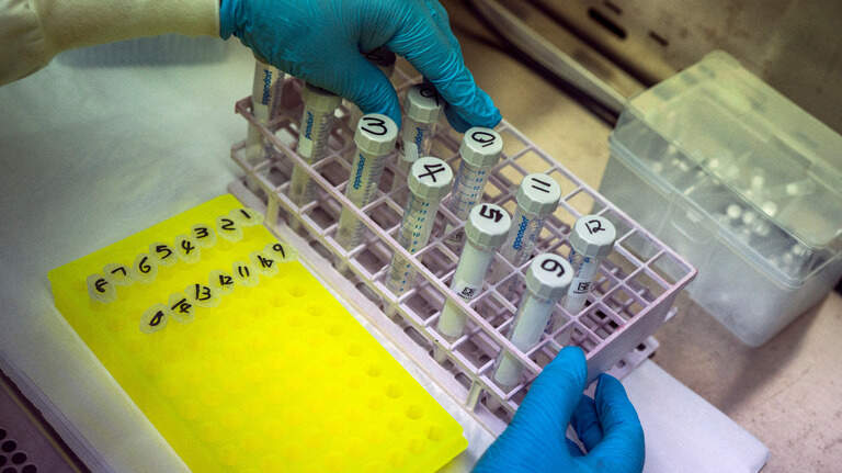 Coronavirus weekly need-to-know: Pfizer boosters, rapid antigen tests, omicron & more