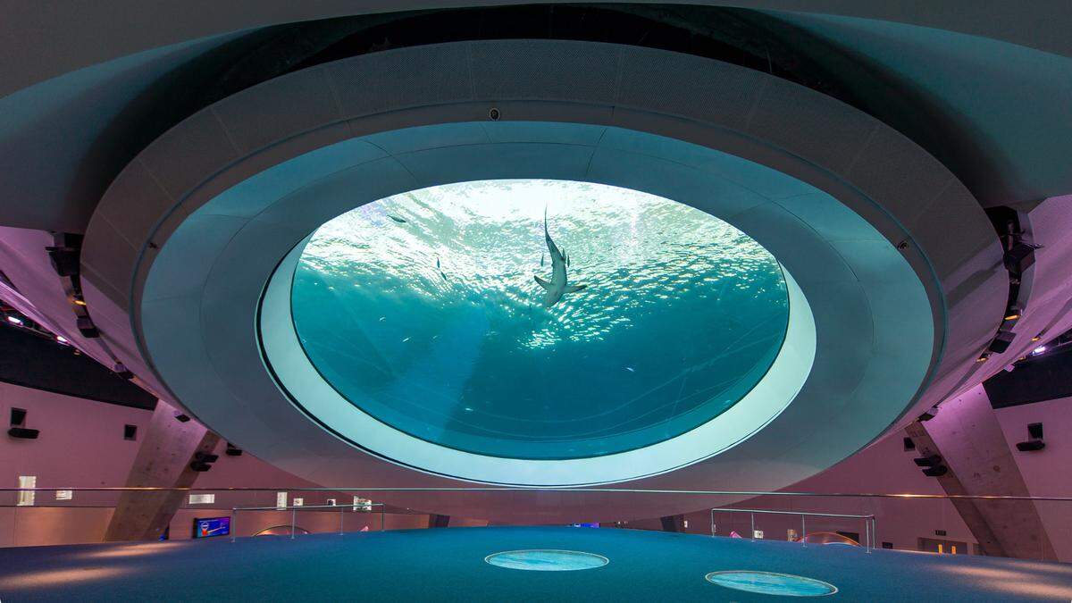 Phillip and Patricia Frost Museum of Science alberga un acuario y un planetario.
