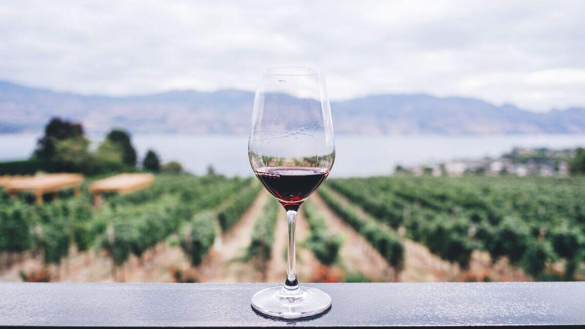 We asked our resident sommelier to pick five of her favorite bottles of Cabernet Franc. She went one step further, adding musical whims to her tasting notes.