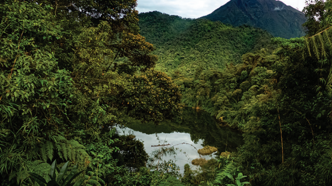 The two new species of rainfrogs were found near volcanoes in Ecuador, according to scientists.