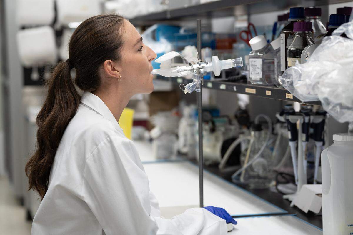 The inhaled COVID-19 being demonstrated, according to McMaster University.