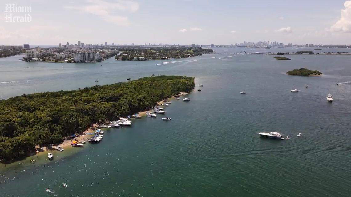Harvey Ruvin worked to ensure that Biscayne Bay could sustain marine life and recreation, while boosting the local economy.