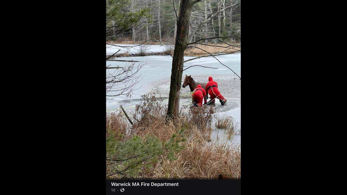 The rescuers donned cold water suits to break the ice for the cold horse.