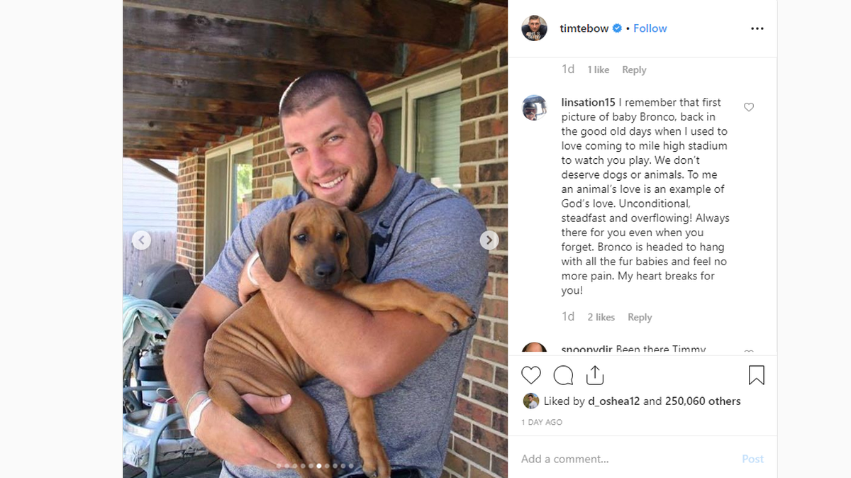 Tim Tebow gave his last sorrowful good-bye to his dog Bronco in an Instagram tribute post on Thursday. 