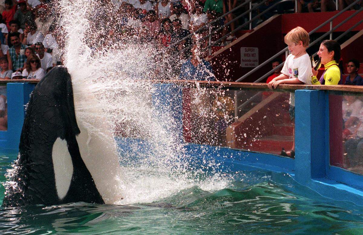 In this file photo from July 27, 1996, children from a summer camp visiting the Miami Seaquarium get splashed by Lolita the killer whale on a Saturday afternoon.