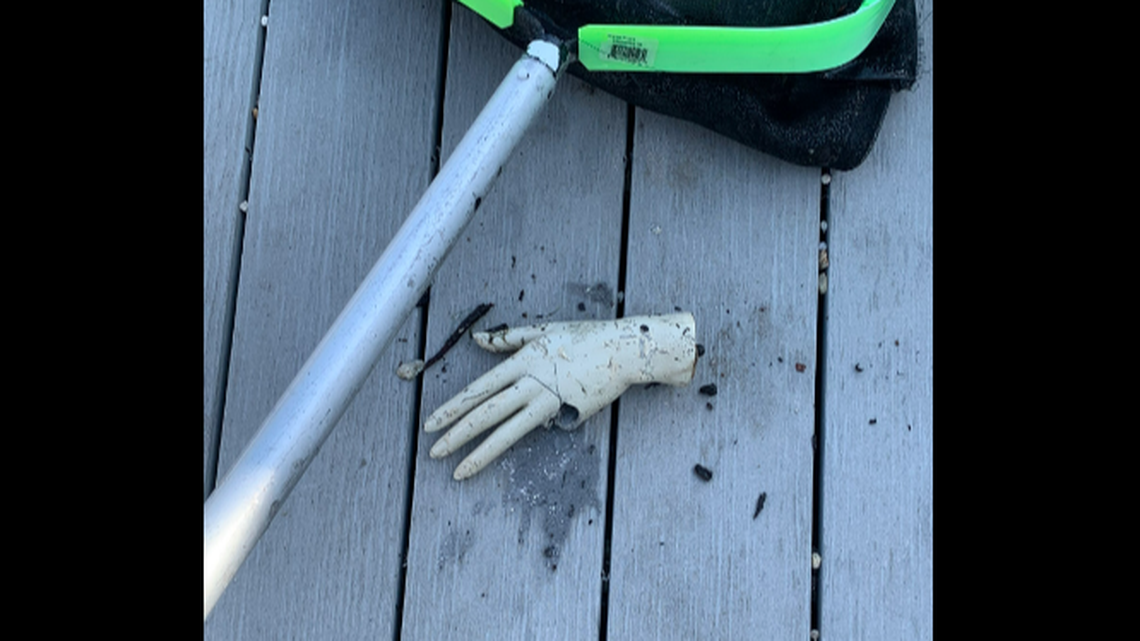 This is what Lee County Sheriff’s Office Cpl. Jay Brett fished out of the canal near Matlacha.