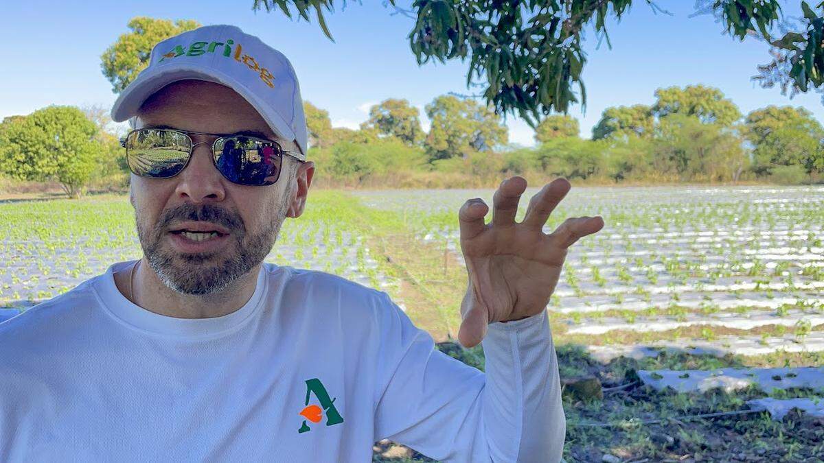 Geoffrey Handal es uno de los cuatro amigos de Puerto Príncipe, Haití, que se han unido para poner en marcha un laboratorio socioeconómico centrado en ayudar a los agricultores del norte de Haití a acceder a conocimientos especializados y nuevas técnicas de cultivo.