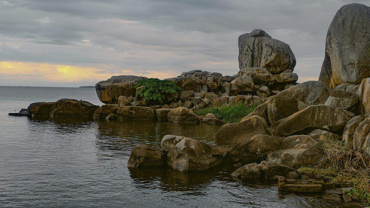 Around the islands inside Lake Victoria, Tanzania, two new species of fish are on the hunt for snails.