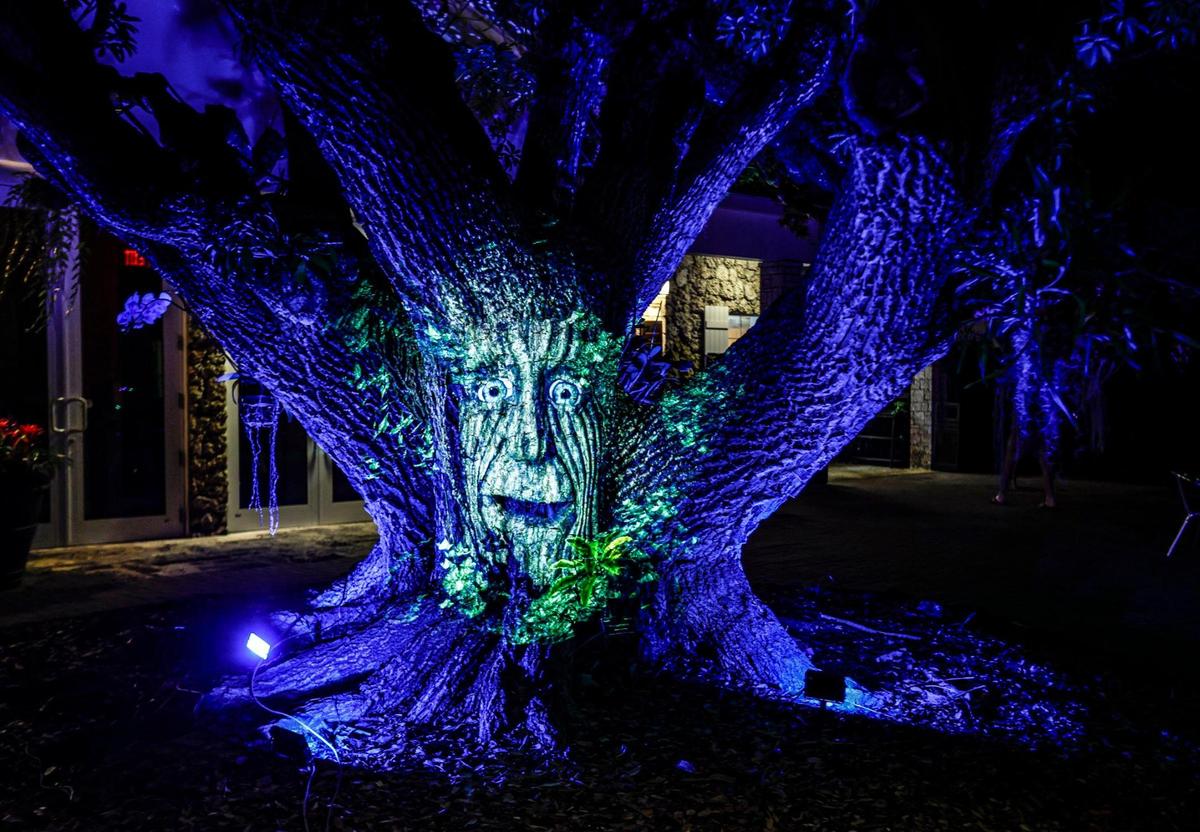 Archimedes the Talking Tree greets visitors at NightGarden at Fairchild Tropical Botanic Garden