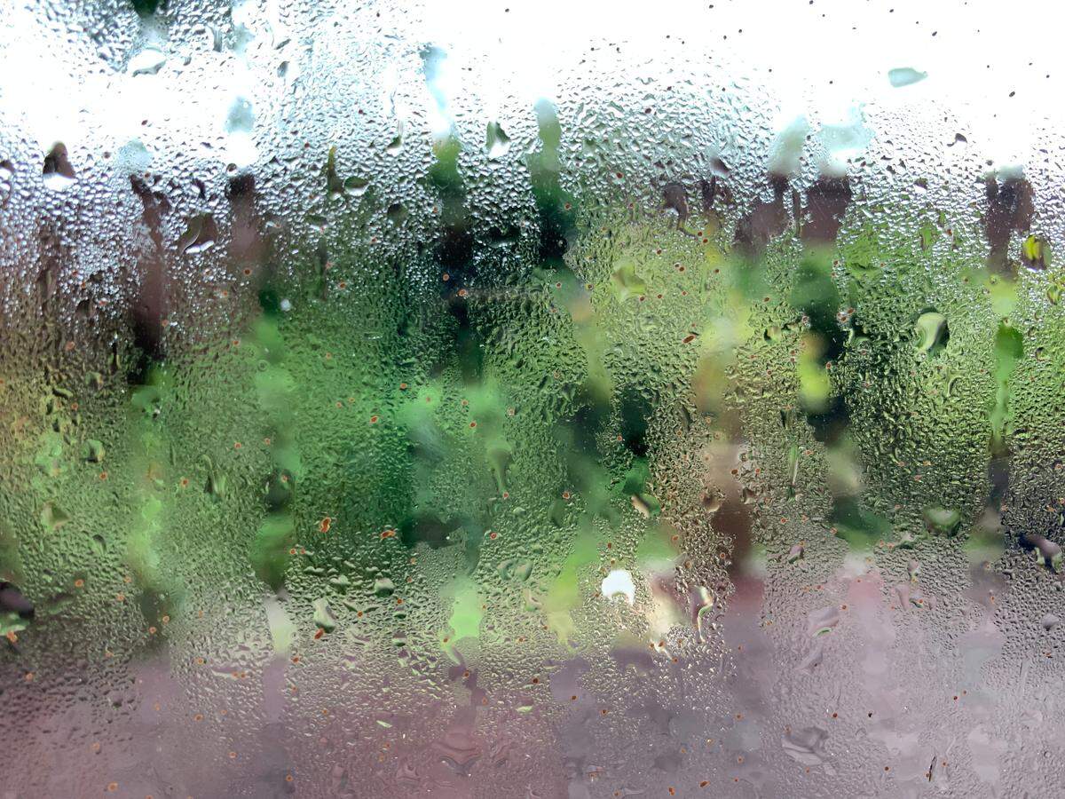 An impressionistic Monet? Nope. Rather, the wet view outside your windows, seen here in Miami on Friday, Aug. 5, 2022, is likely to reoccur through the weekend and into the work week, according to the National Weather Service in Miami. Thunderstorms are in the forecast for Miami-Dade, Broward, the Keys and Palm Beach County.
