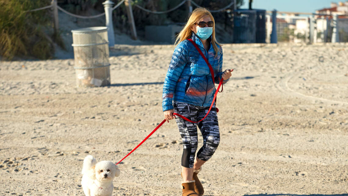 This recalled dog food can make pets and pet owners sick with salmonella and listeria