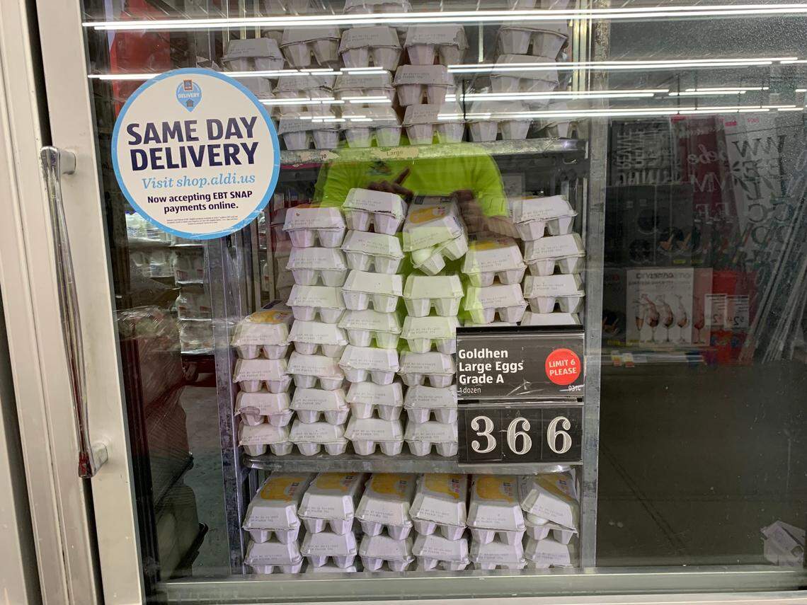 Aldi Goldhen large eggs grade A in a carton of 12 was $3.66 at the Palmetto Bay location on Dec. 12, 2022.