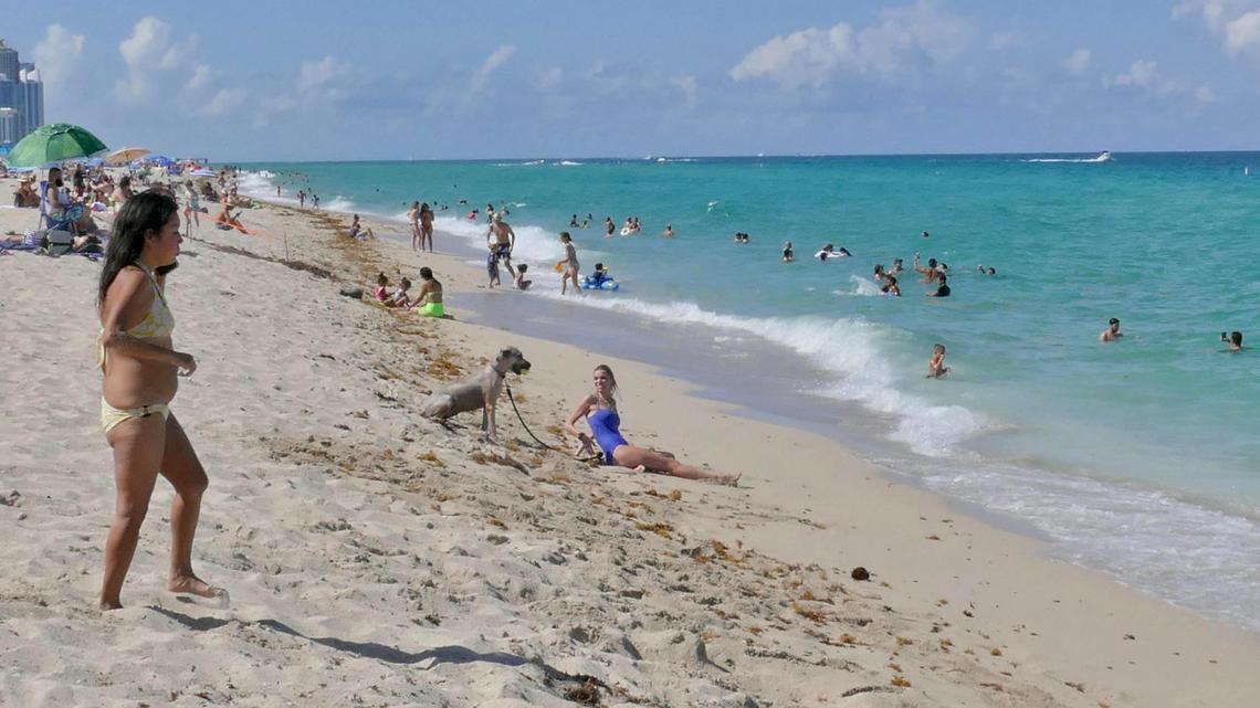 Both the dog beach and beach access to humans was open Saturday for beachgoers thankful to get back to the ocean on Haulover Beach late Saturday afternoon.