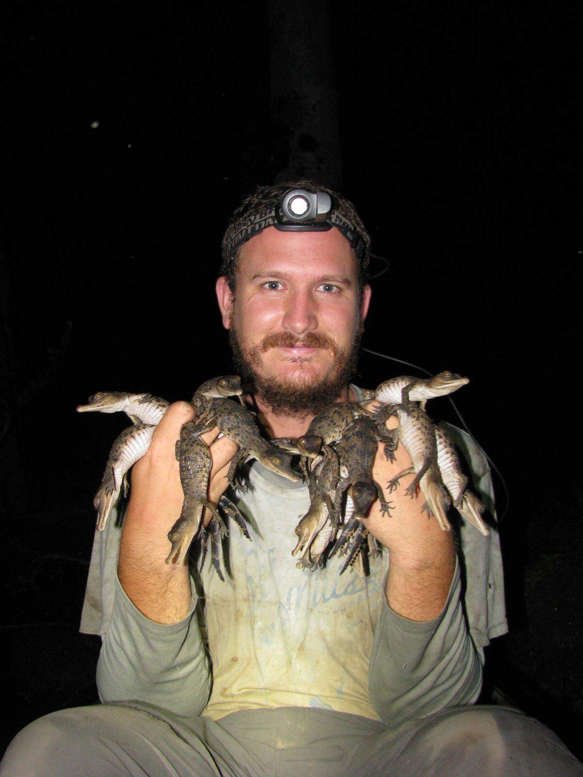 Florida International University crocodile expert Matthew Shirley poses with juvenile Central African slender-snouted crocodiles.