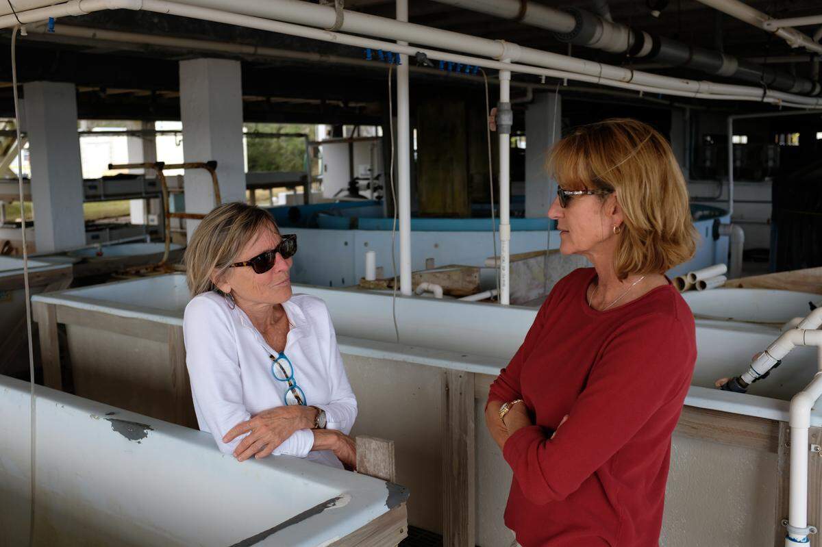 “We’ve got layers of things that are going on here,” said Sandra Brooke, right, director of Apalachicola Bay science at the Florida State Coastal and Marine Laboratory, of the damage to Apalachicola Bay. The lab’s director, Felicia Coleman, is left.