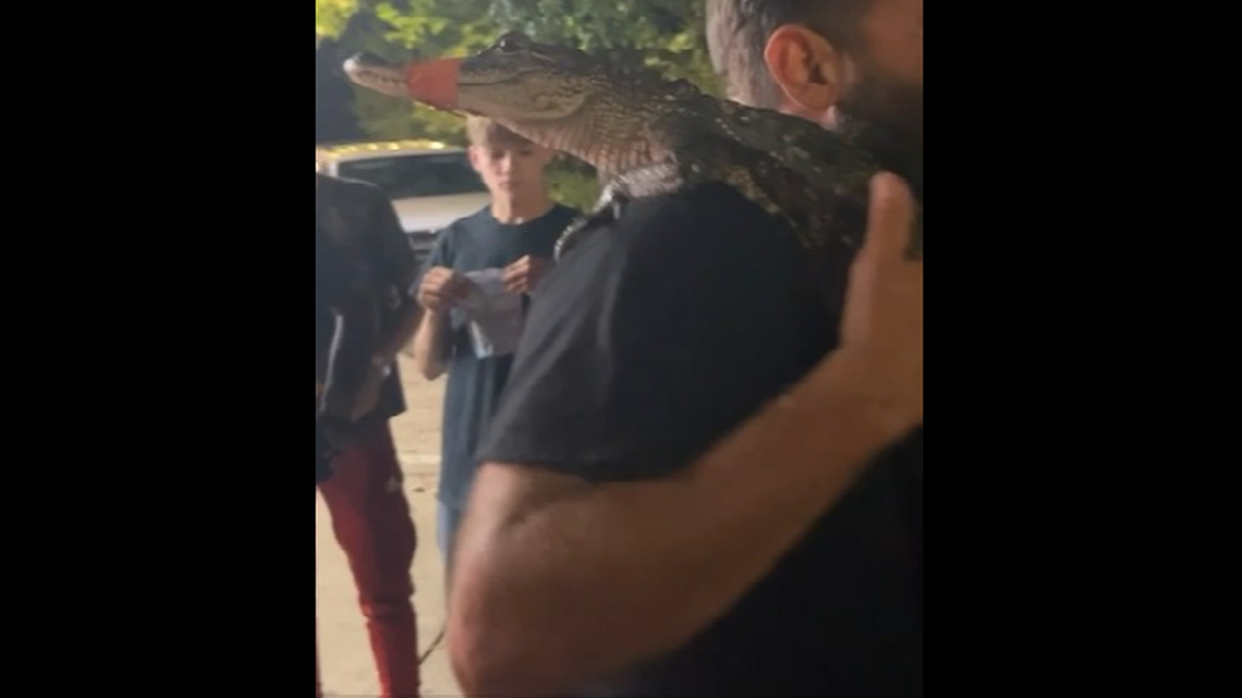 A man was photographed carrying around an alligator near New Orleans’ French Quarter, police say.