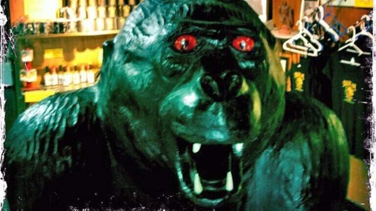Have you seen the Everglades Skunk Ape? It’s just been named a top attraction in the US