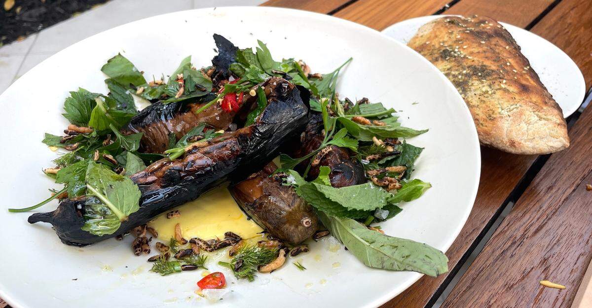 Wood-roasted eggplant at Michael’s Genuine Food & Drink