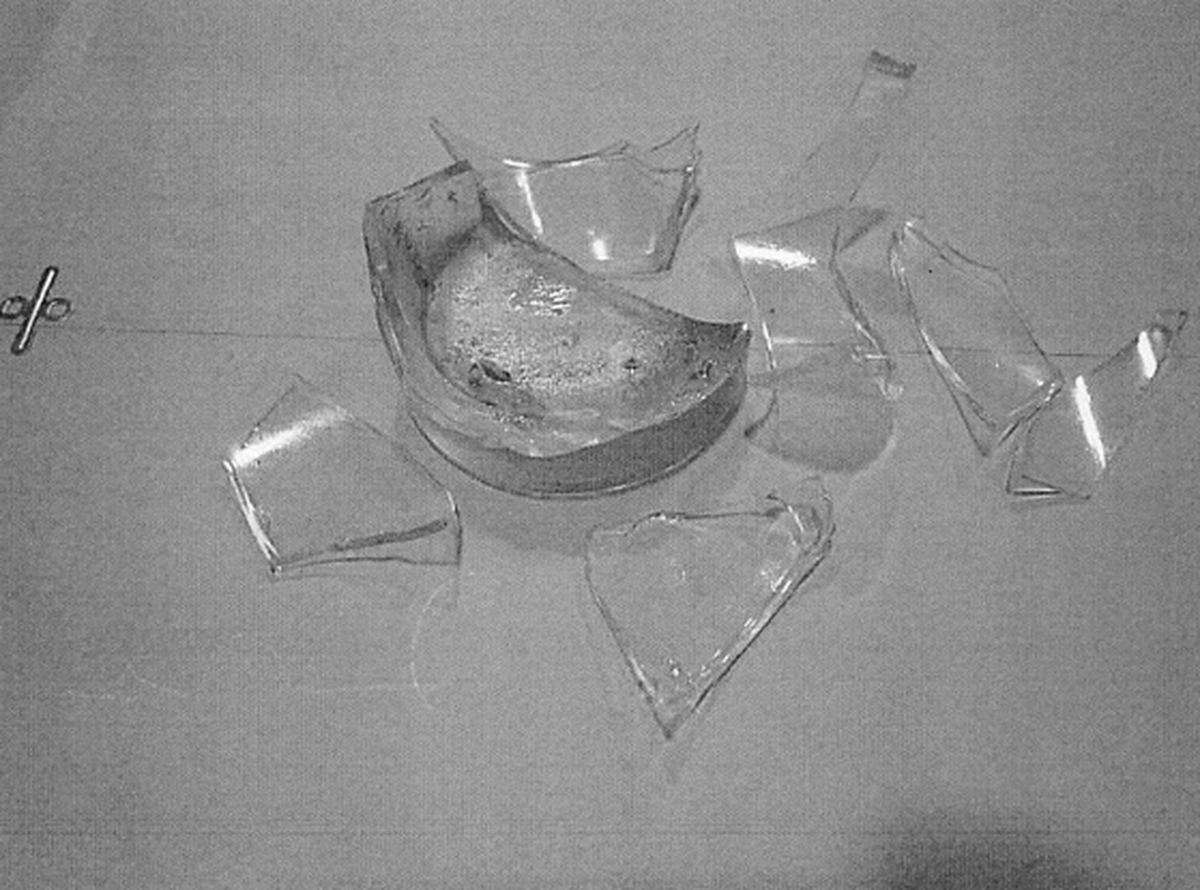 The broken cocktail glass.