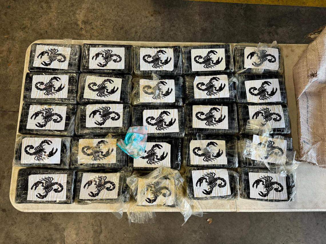 The cocaine was packaged “by the cartel for marketing purposes with a very gnarly looking scorpion,” the Brevard County Sheriff’s Office says.