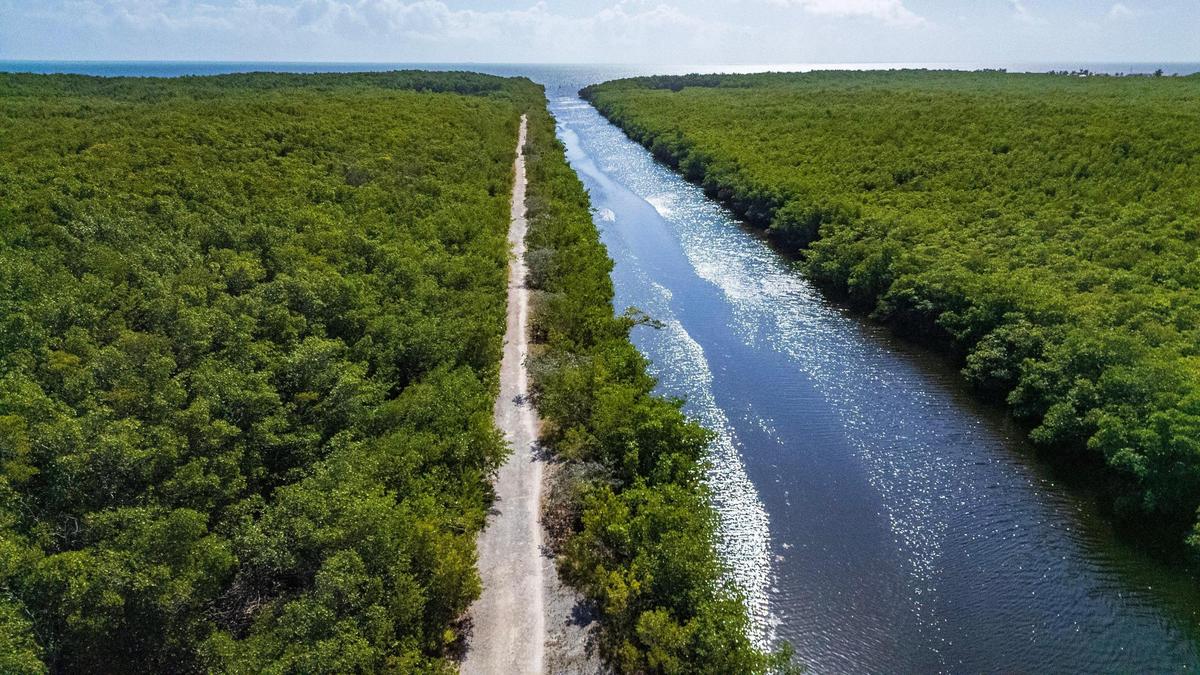 Aerial East view of the R. Hardy Matheson Preserve’s trail, an approximately 813.6-acre tract of land located east of Old Cutler Road at the southern extent of the City of Coral Gables on Thursday, February 13, 2025.