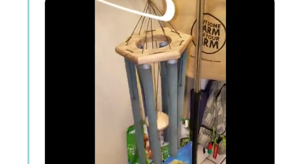 Wind chimes refuge