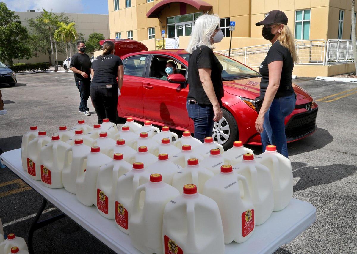 Volunteers helped during a food drive sponsored by the Venezuelan Embassy in the U.S. in partnership with Feeding South Florida and the Venezuelan Diaspora. The groups provided groceries to 300 families in Doral, on Saturday Aug. 22, 2020.