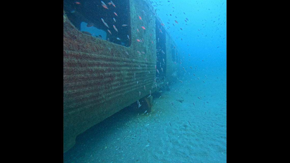 Underwater cameras placed in two submerged subway cars off the coast of Georgia have gone missing, state officials say.